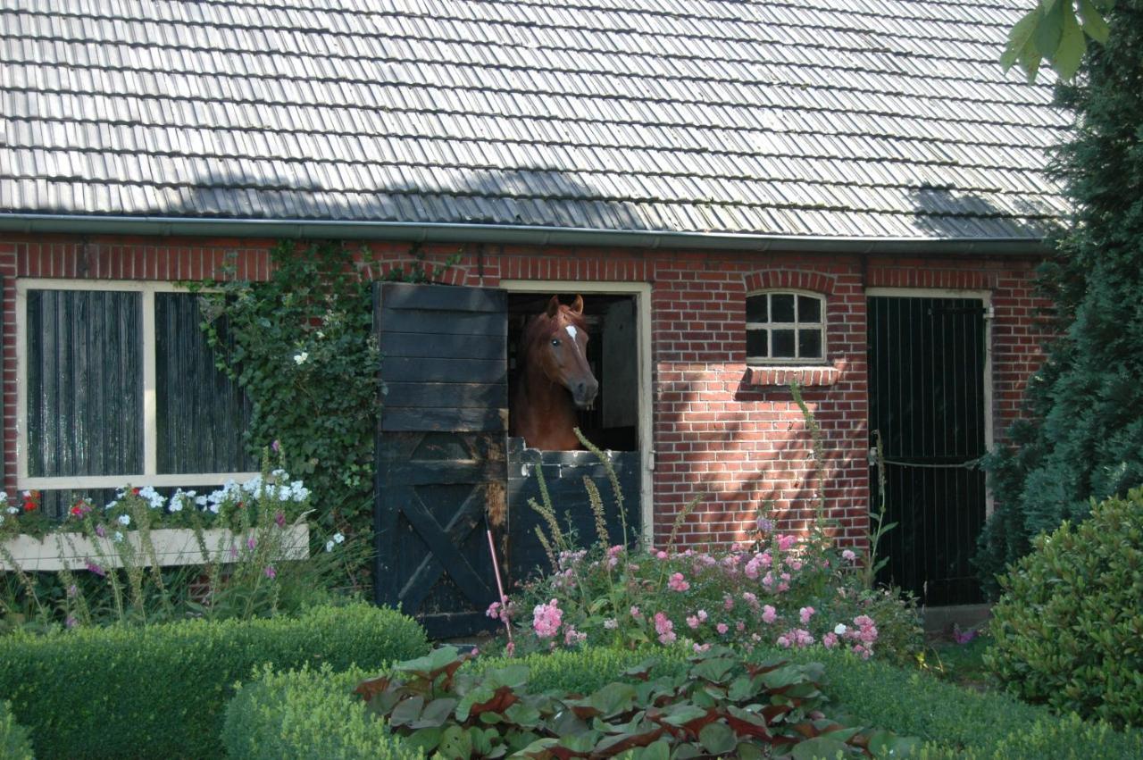 Erve Het Roolvink Boerderij Appartementen 40-50 M2 エンスヘーデ エクステリア 写真