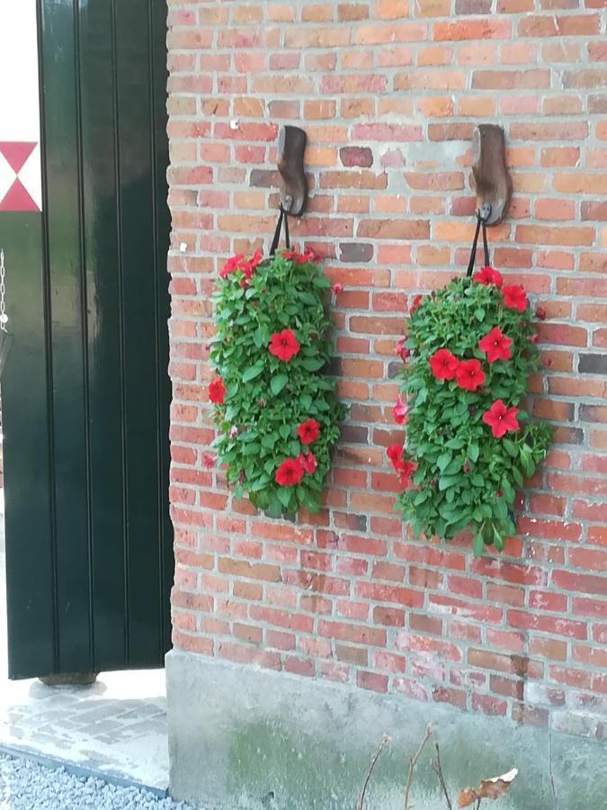Erve Het Roolvink Boerderij Appartementen 40-50 M2 エンスヘーデ エクステリア 写真