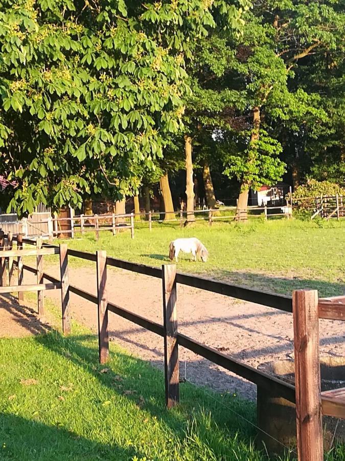 Erve Het Roolvink Boerderij Appartementen 40-50 M2 エンスヘーデ エクステリア 写真