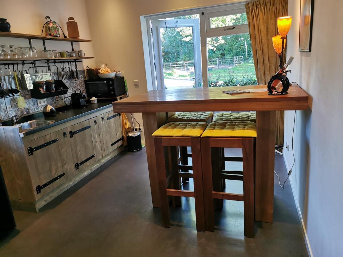 Erve Het Roolvink Boerderij Appartementen 40-50 M2 エンスヘーデ エクステリア 写真
