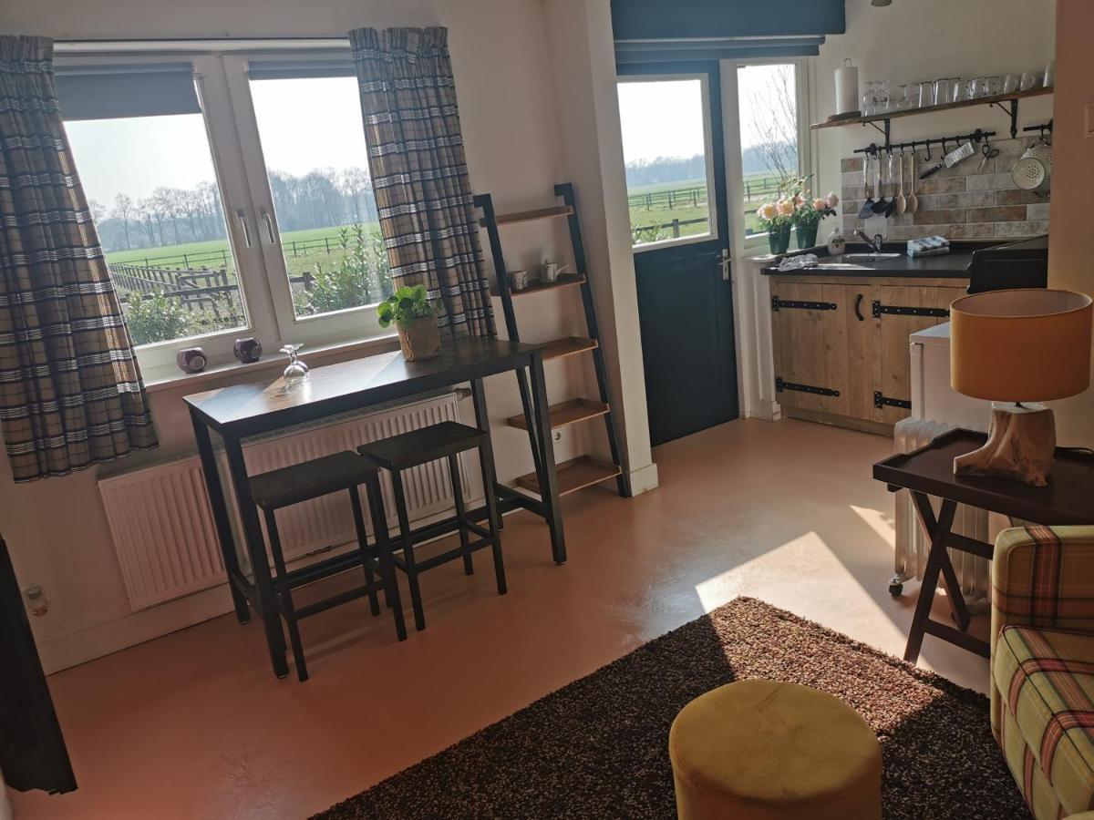 Erve Het Roolvink Boerderij Appartementen 40-50 M2 エンスヘーデ エクステリア 写真