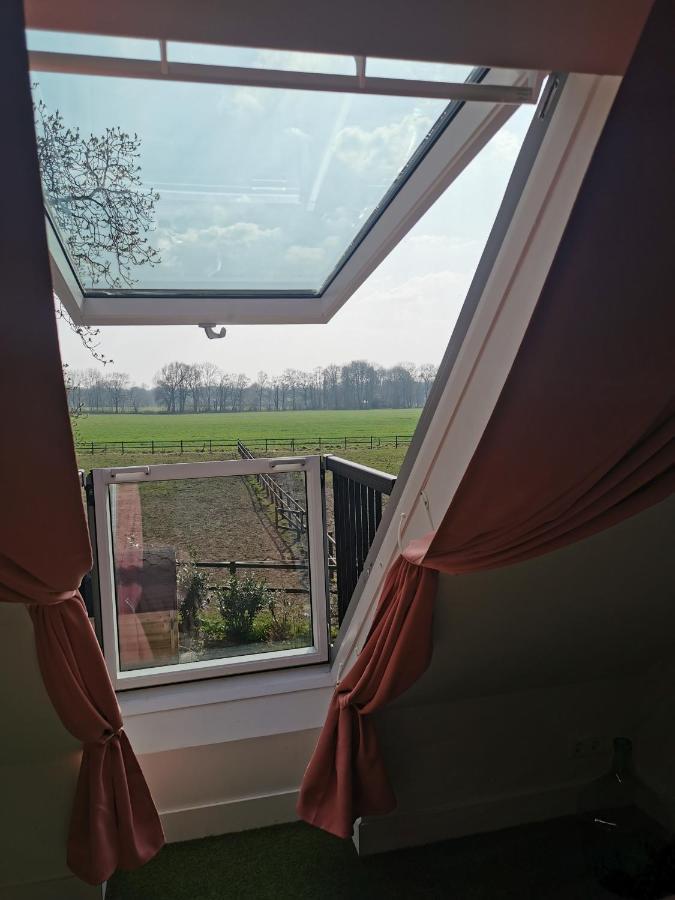 Erve Het Roolvink Boerderij Appartementen 40-50 M2 エンスヘーデ エクステリア 写真