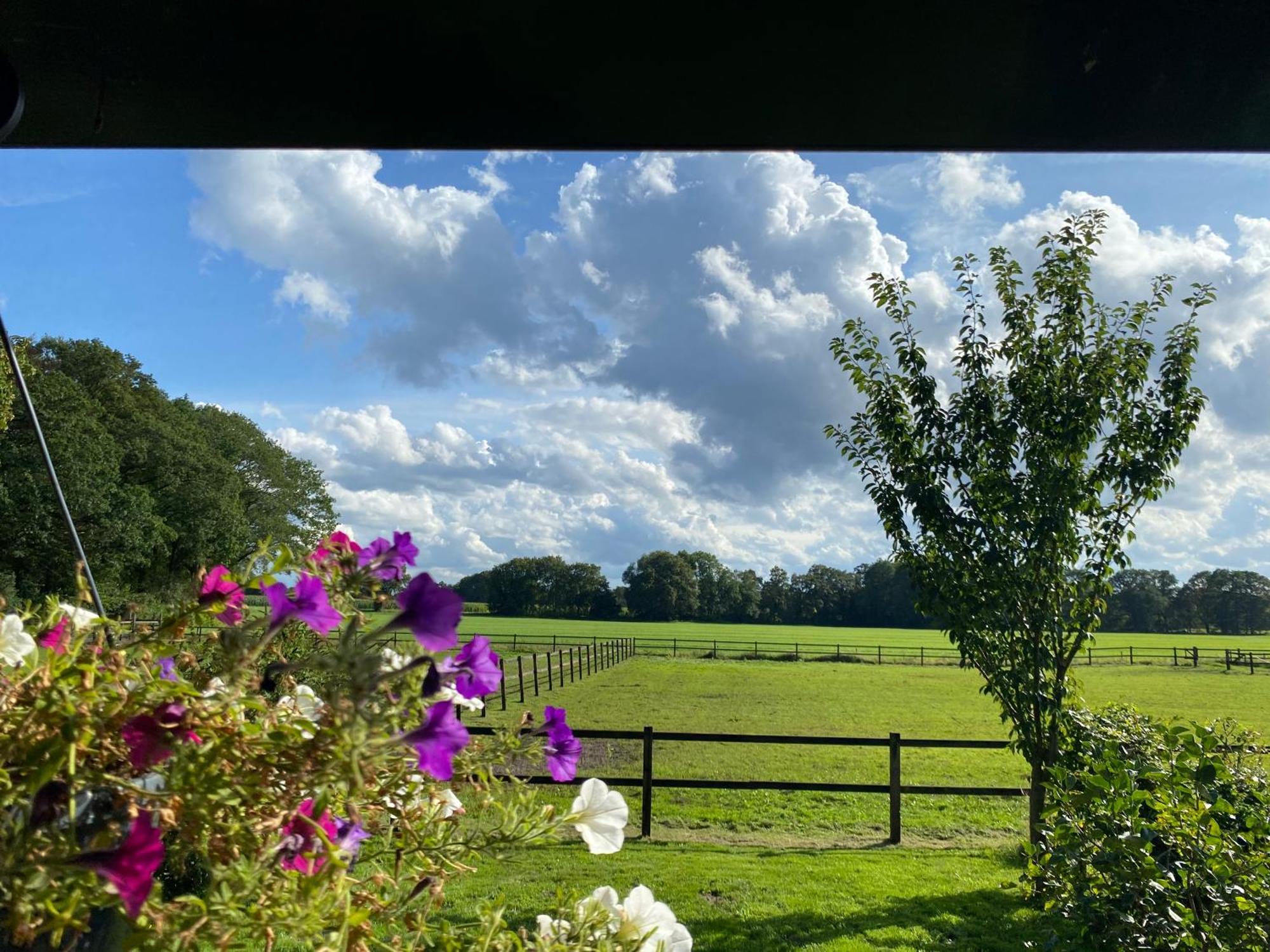 Erve Het Roolvink Boerderij Appartementen 40-50 M2 エンスヘーデ エクステリア 写真