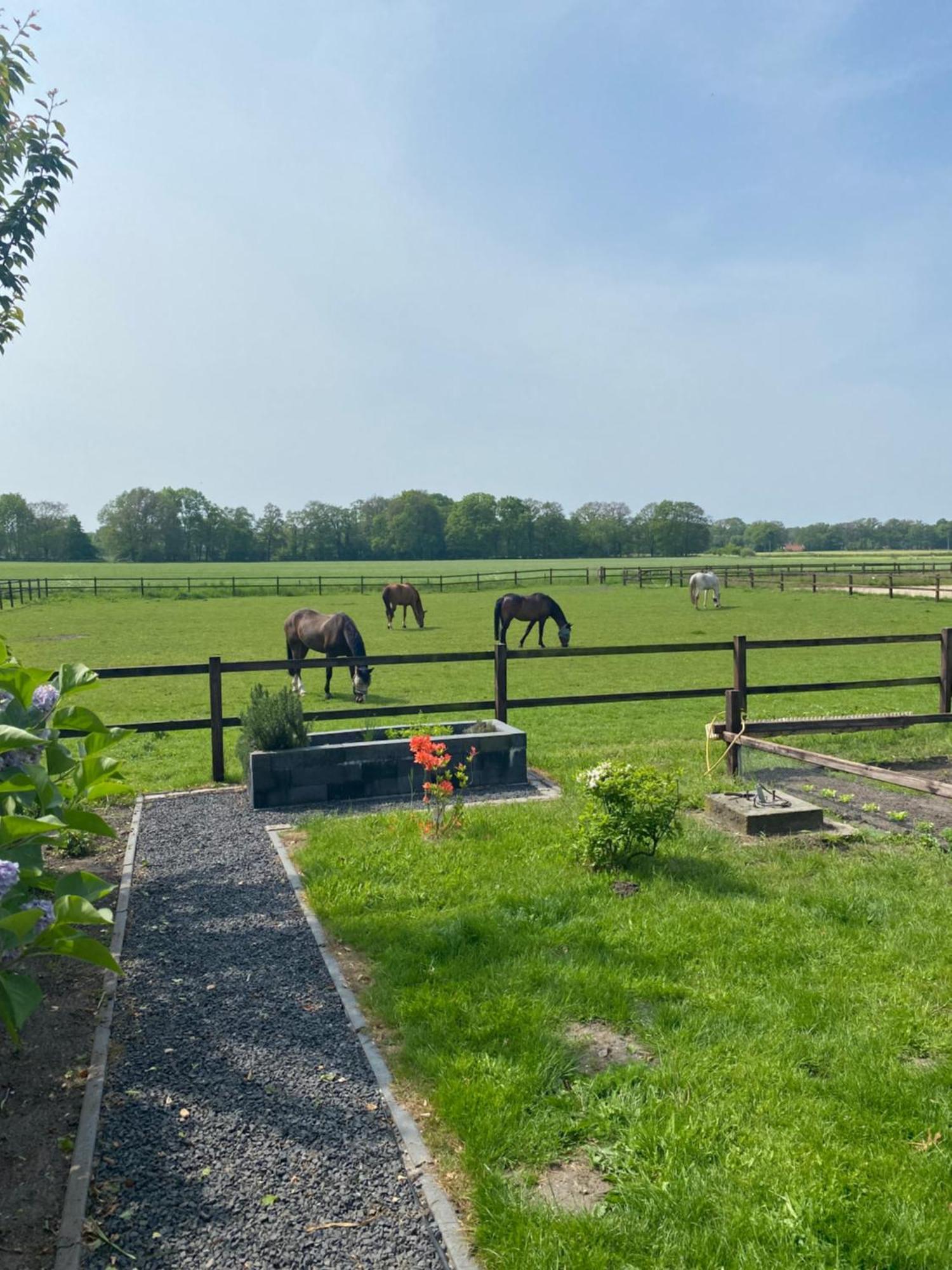 Erve Het Roolvink Boerderij Appartementen 40-50 M2 エンスヘーデ エクステリア 写真