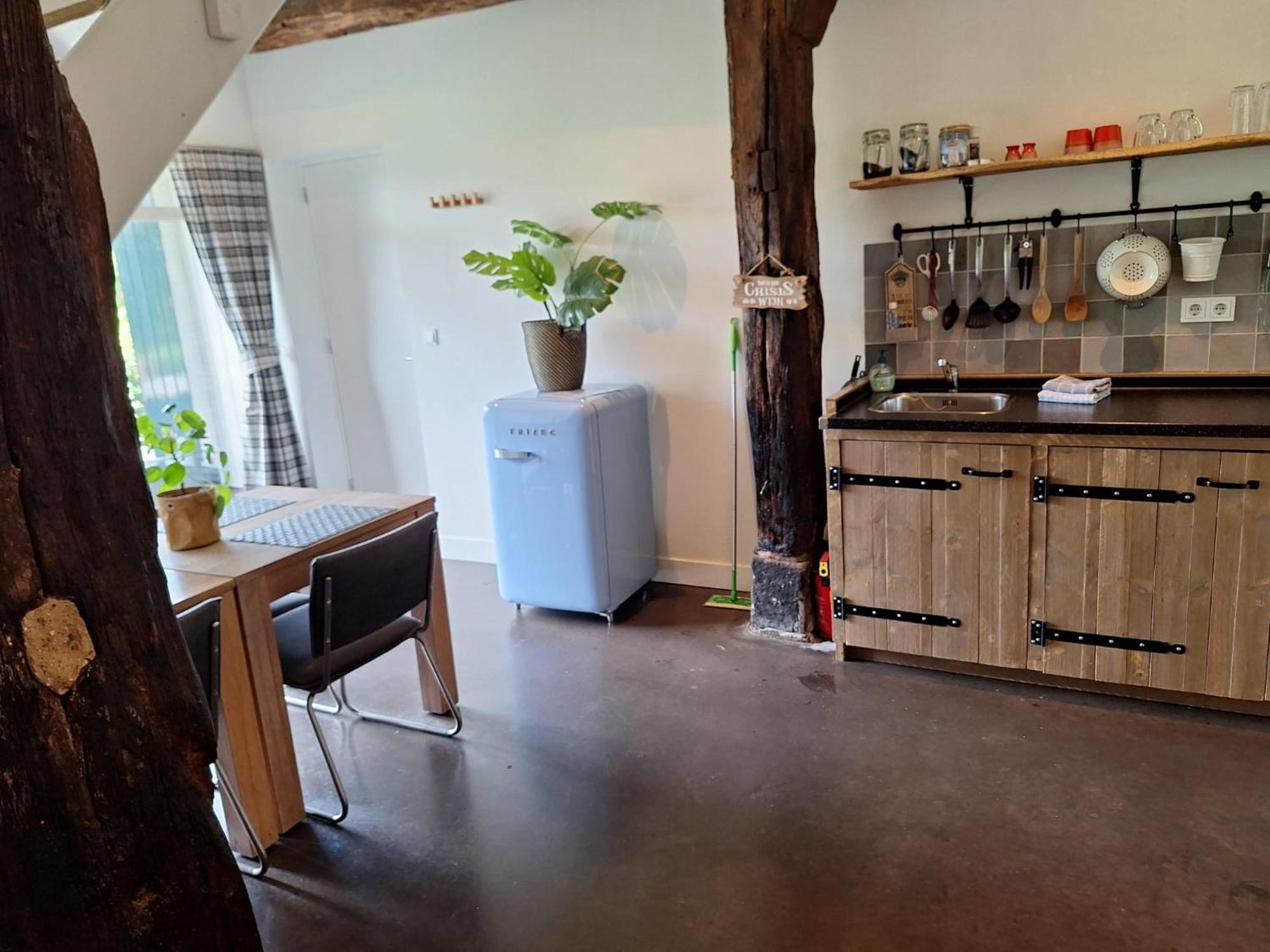 Erve Het Roolvink Boerderij Appartementen 40-50 M2 エンスヘーデ エクステリア 写真